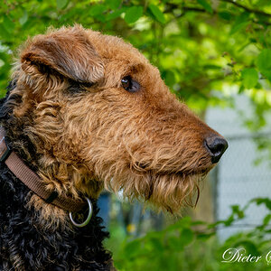 eddy-10-5-20-b.jpg