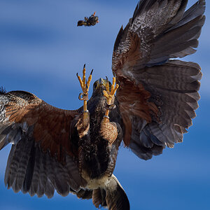 210630 A1_0832-Archive.jpg