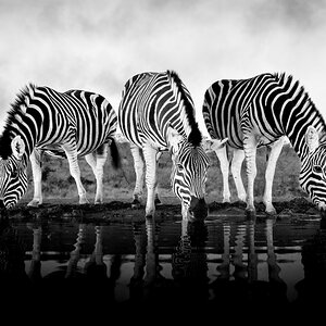 _A921870-Edit-Edit.jpg