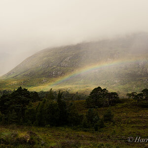 Glen Affric Loch - Scotland.