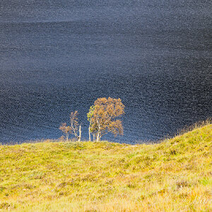 Glen Affric Loch - Scotland.