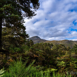 Glen Affric Loch - Scotland.