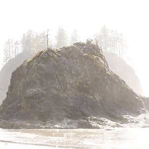 Sea Stack at Lapush WA