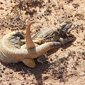 Found Hat 27-09-2021 (52).JPG