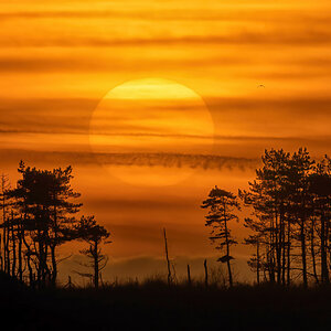 Bogside Sunset.jpg