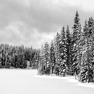 _A1_0481-Edit-Edit.jpg