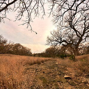 A dry river bed