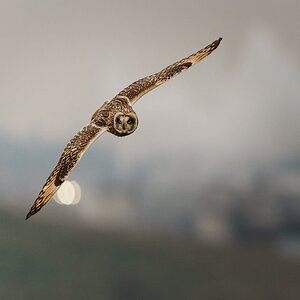 untitled-1-Edit-1.jpg