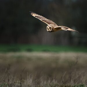 untitled-30-Edit-1.jpg