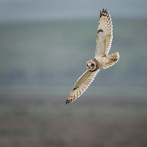 untitled-256-1.jpg