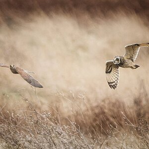 untitled-255-Edit-Edit-1.jpg