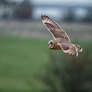 untitled-207-Edit-Edit-1.jpg