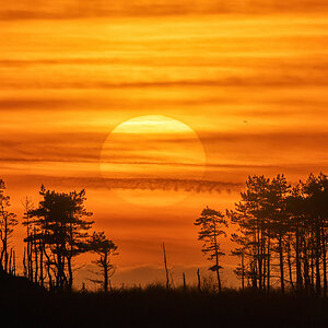 Bogside Sunset .jpg