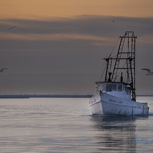 Angiebirmingham_shrimpBoat sunrise-10.jpg