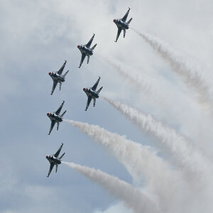DSC02483.jpg