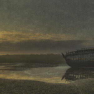 _SON0384-painterly for flickr.jpg