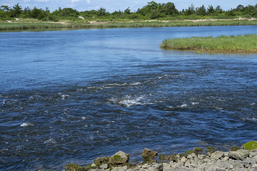 085-Sunken-Meadow-6-28-22-01.jpg