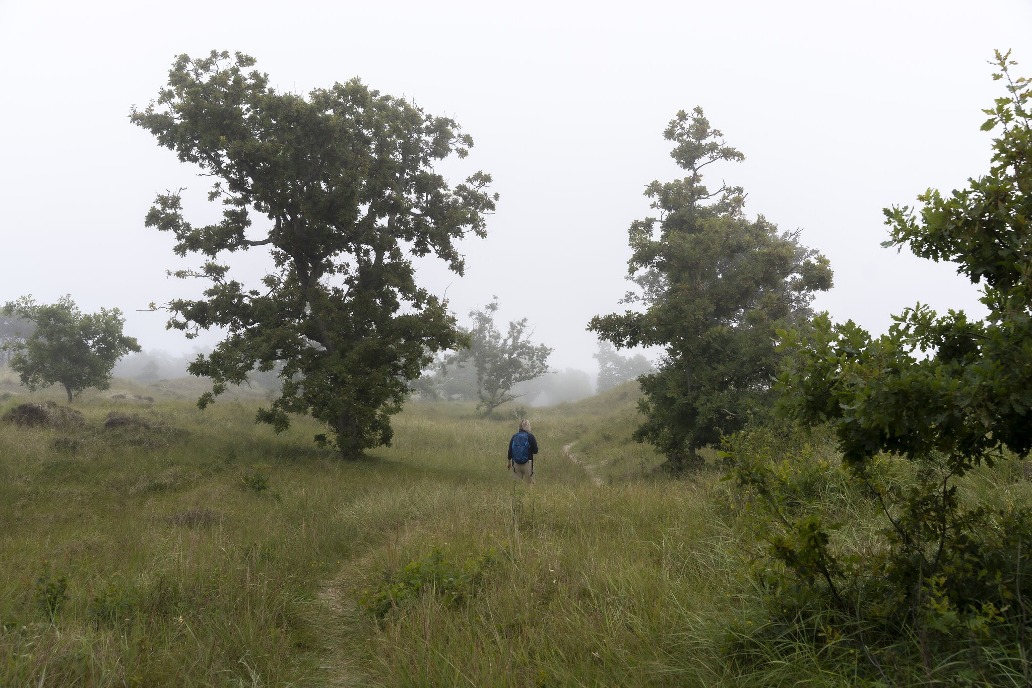 20082023-20082023-_DSC7594-5.jpg