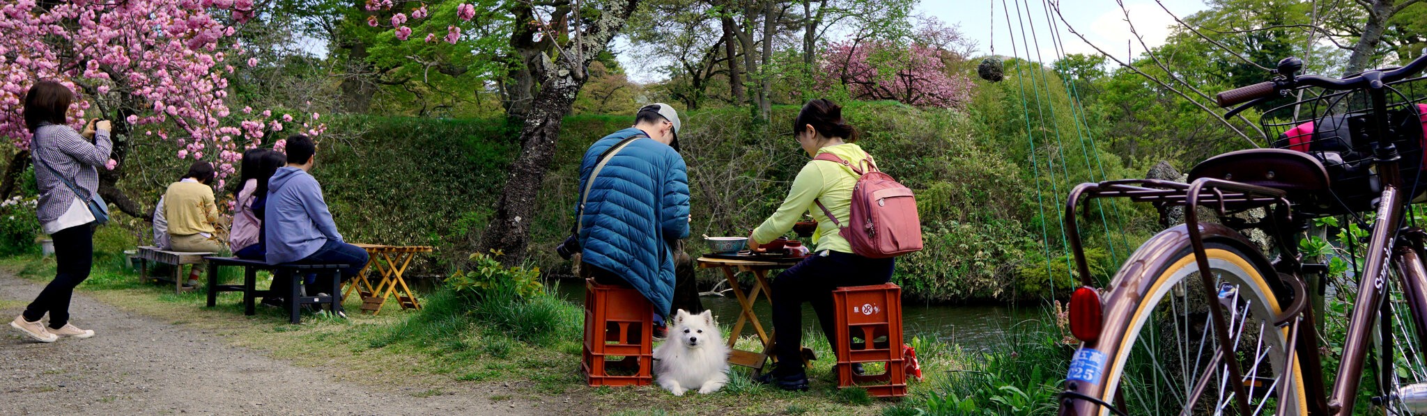 20190502 Aizuwakamatsu DSC07278_v1.JPG