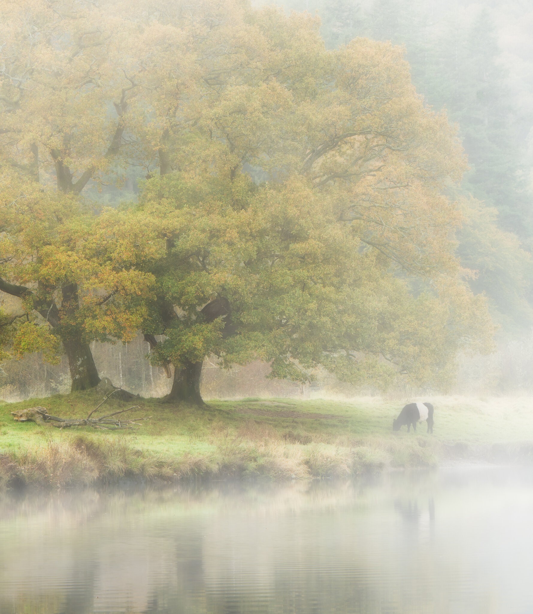 20251011-_DSC6638-DxO_DeepPRIME XD2s-Edit.jpg