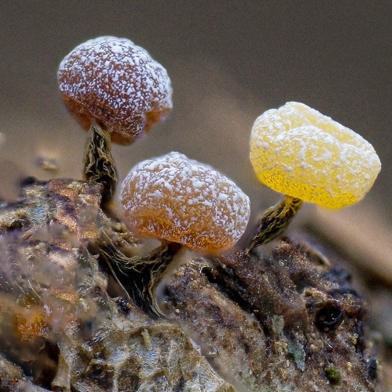 2026-03-11 20-02-40 24360311 A1A00001-Edit-Edit20260311fb.jpg