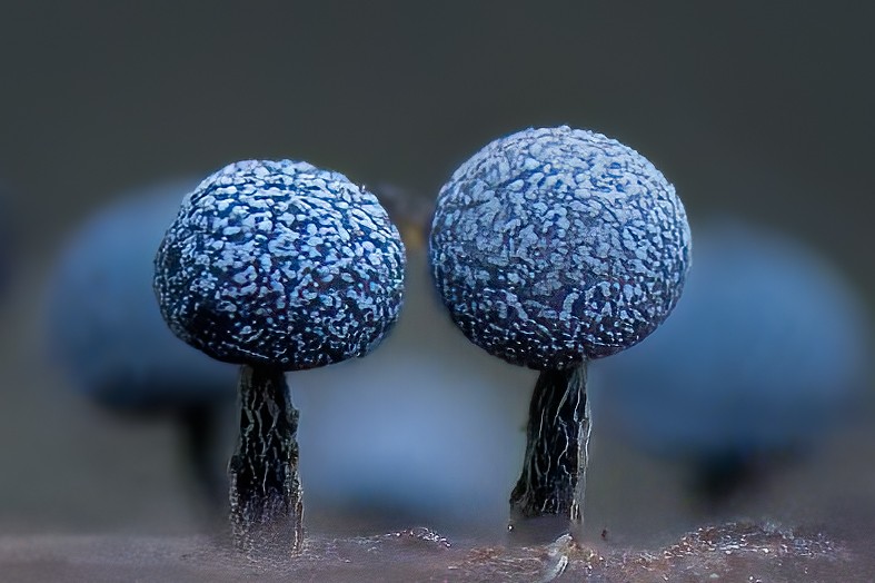 2026-03-11 22-12-34 25860311 A1A00001-Edit-Edit20260311fb.jpg