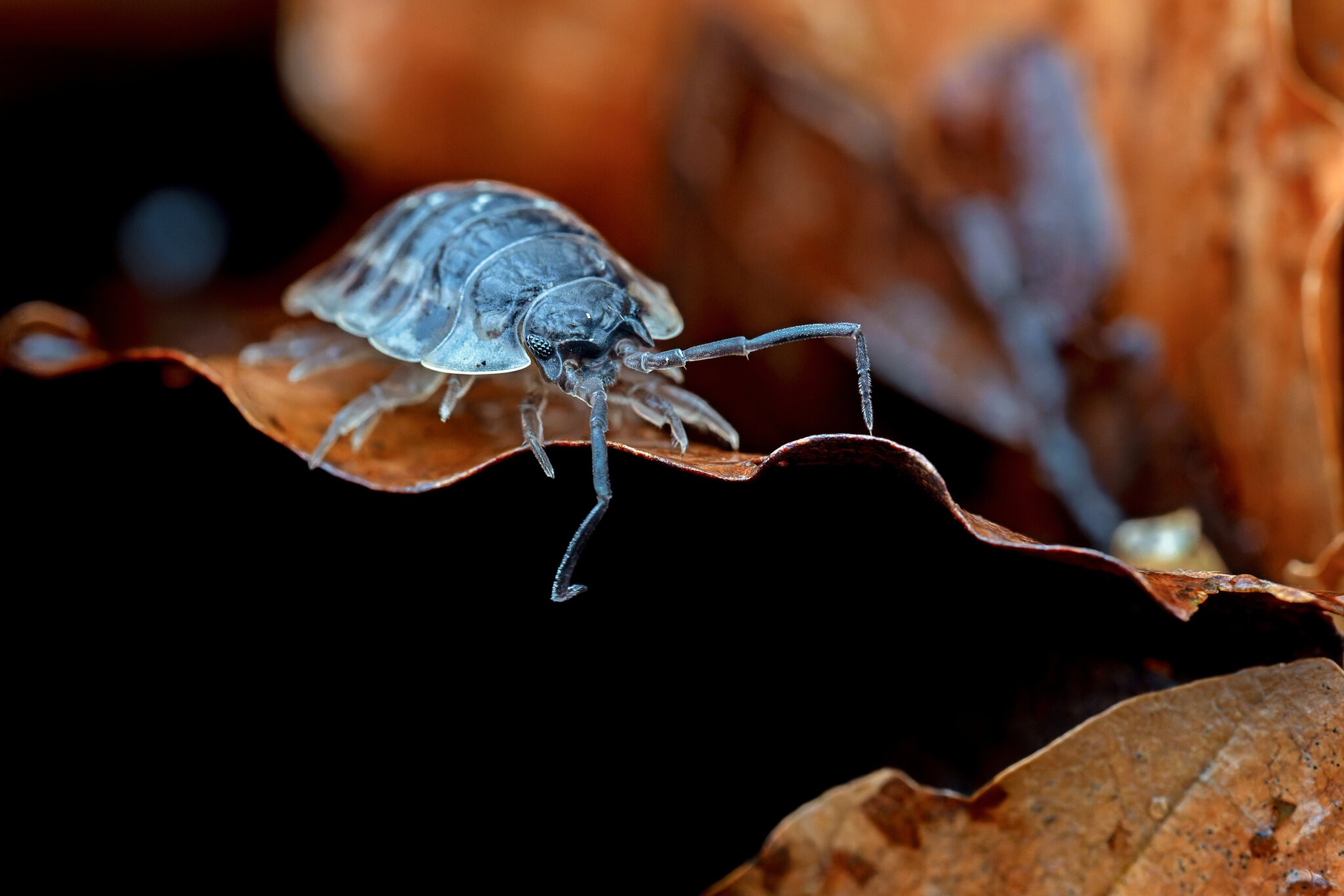 20260225-DSC05975-DxO_DeepPRIME XD2s-Edit.jpg