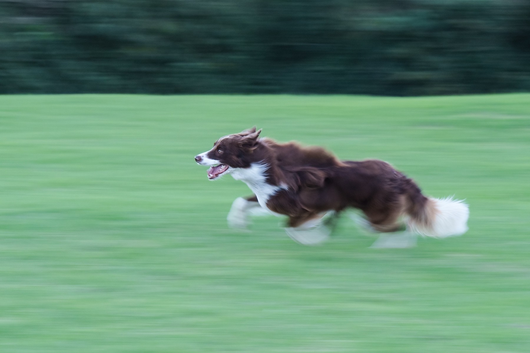 20260425-A1B00551-Edit.jpg