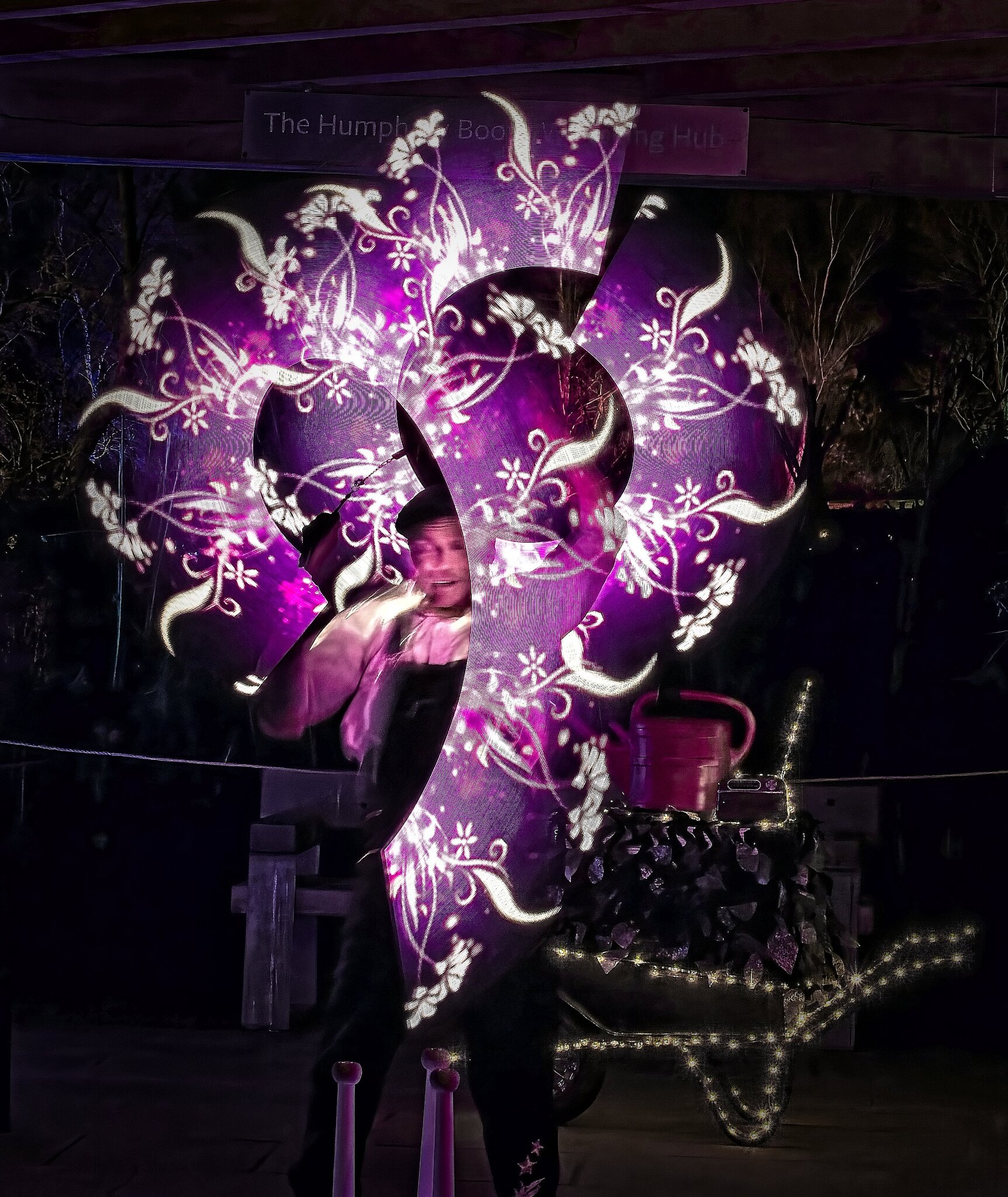 25A04256bridgewater glow moonlight gardener.jpg