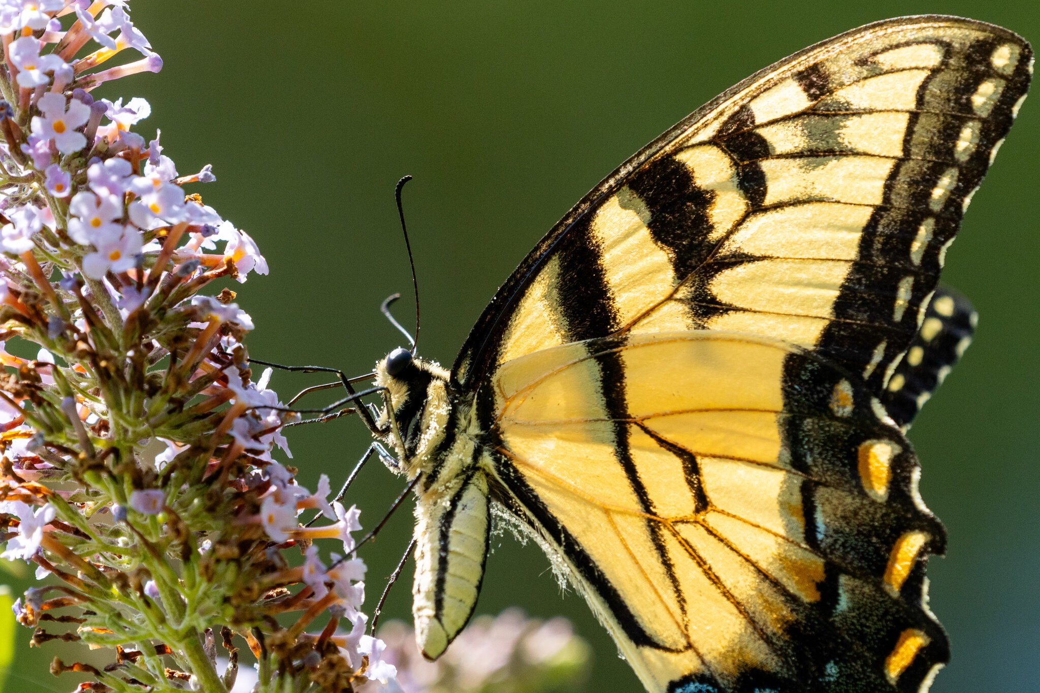 400_5076x3384.jpg