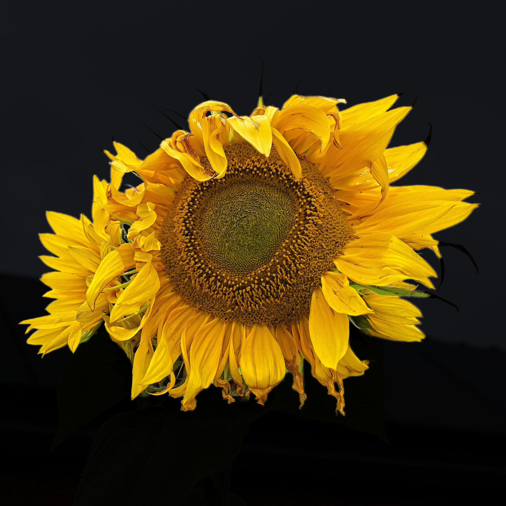 7R506589 2.jpg