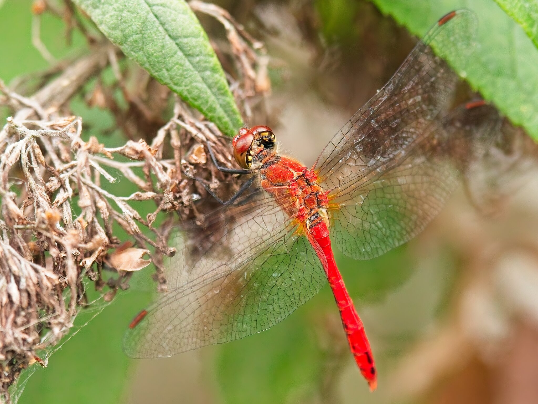 7R509403.jpg