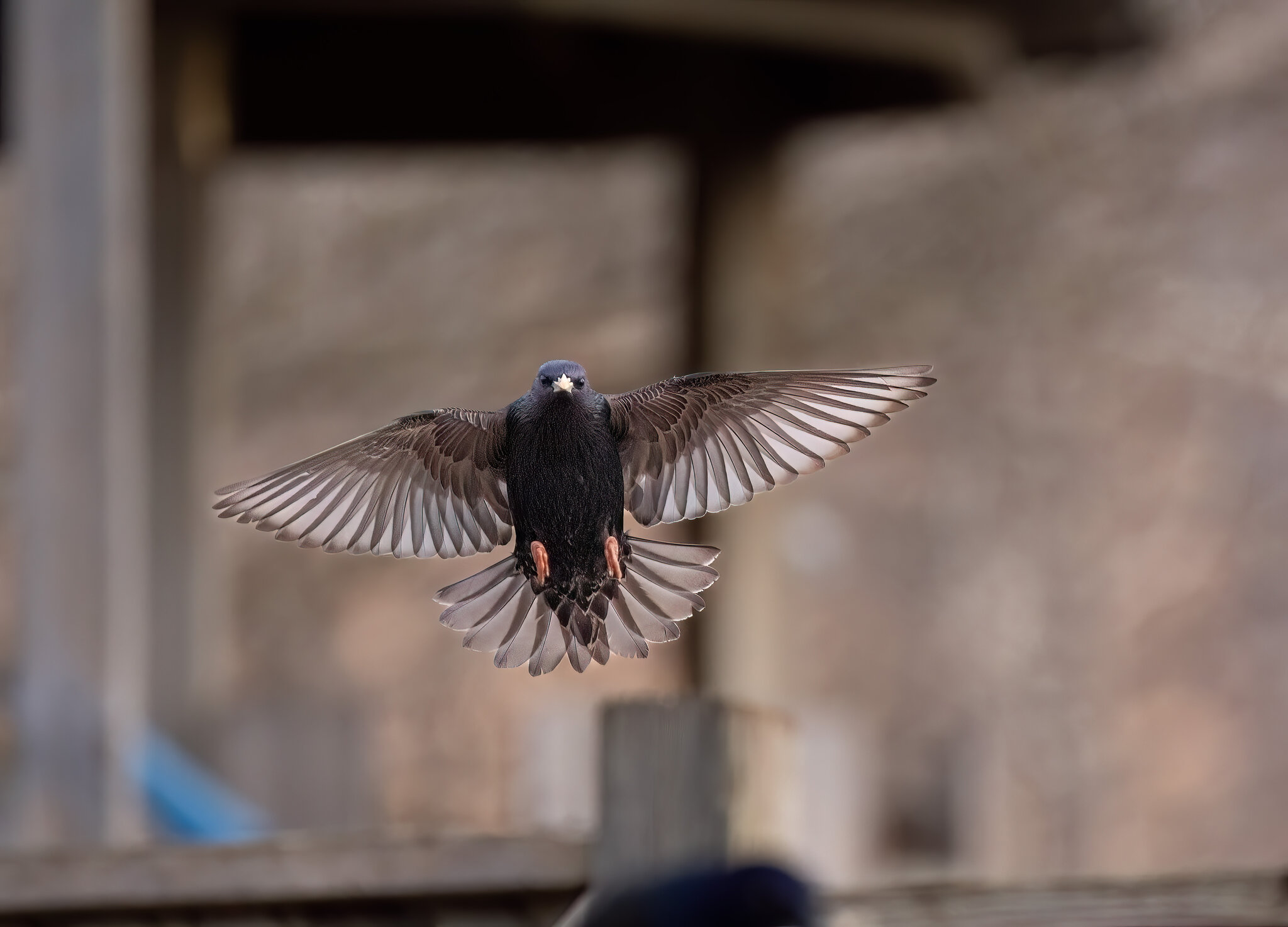 8A673319-3F19-45A0-9159-736D086570AB.jpeg