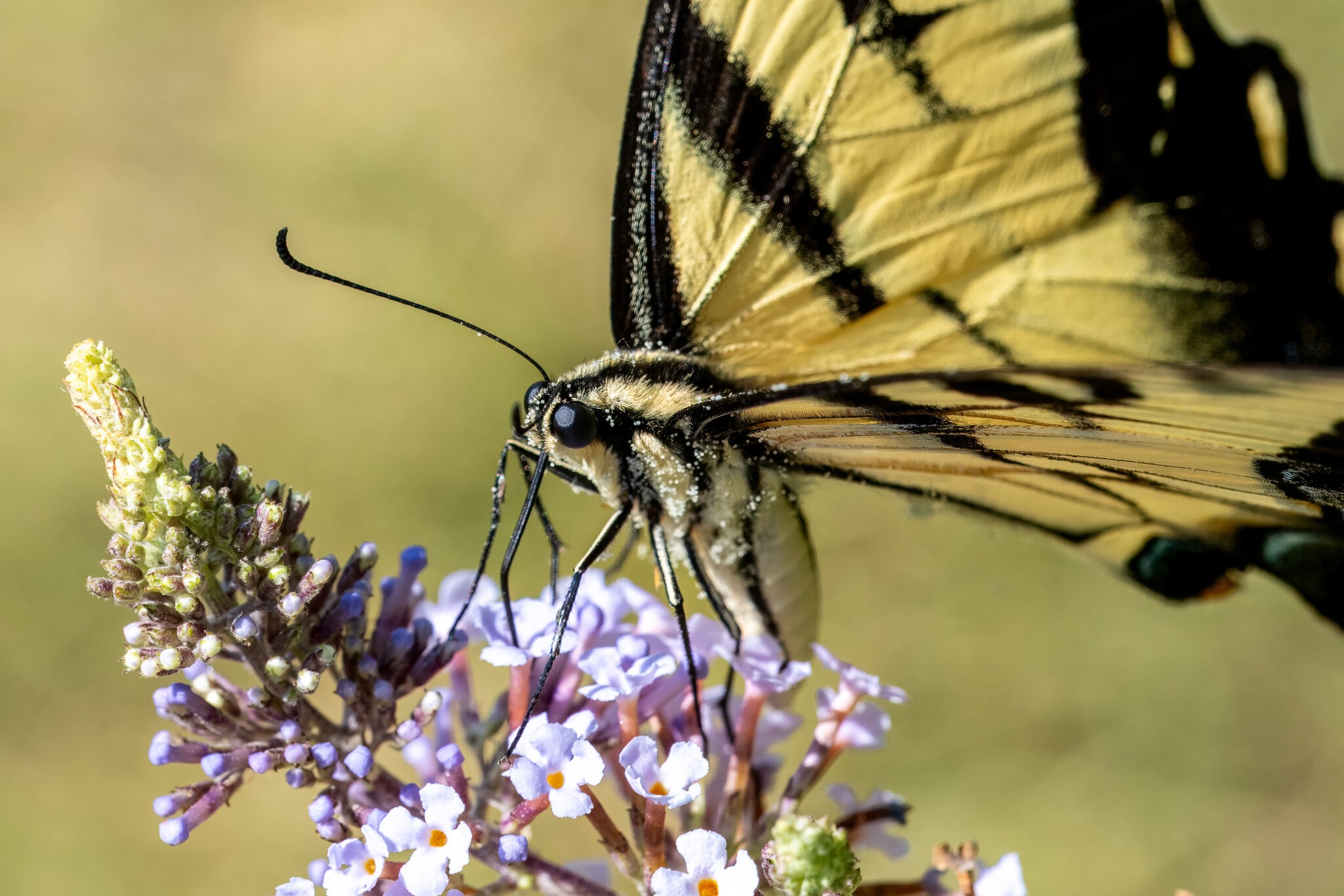 90_5076x3384.jpg