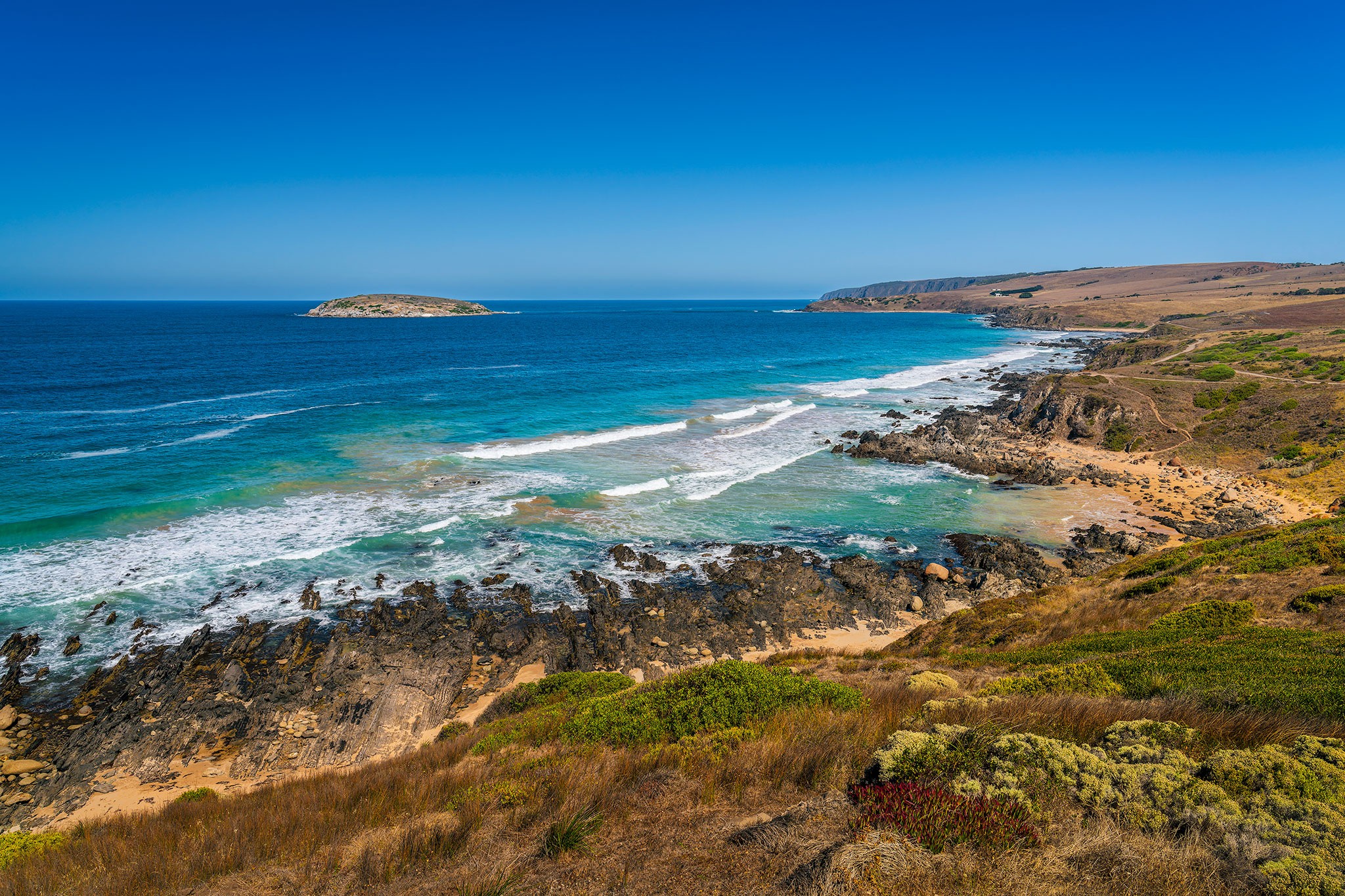 _7RV0108_Petrel_Cove.jpg