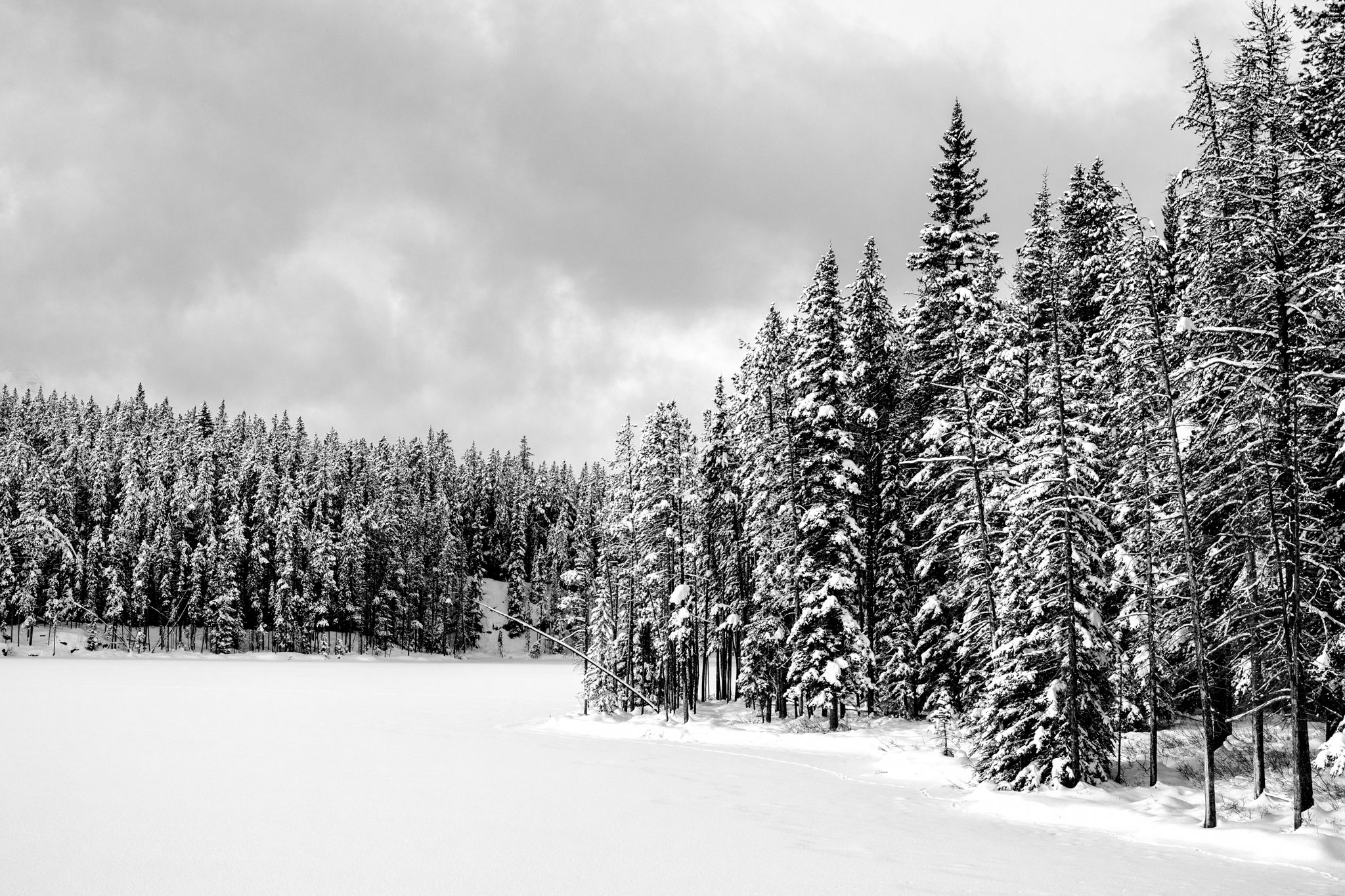 _A1_0481-Edit-Edit.jpg