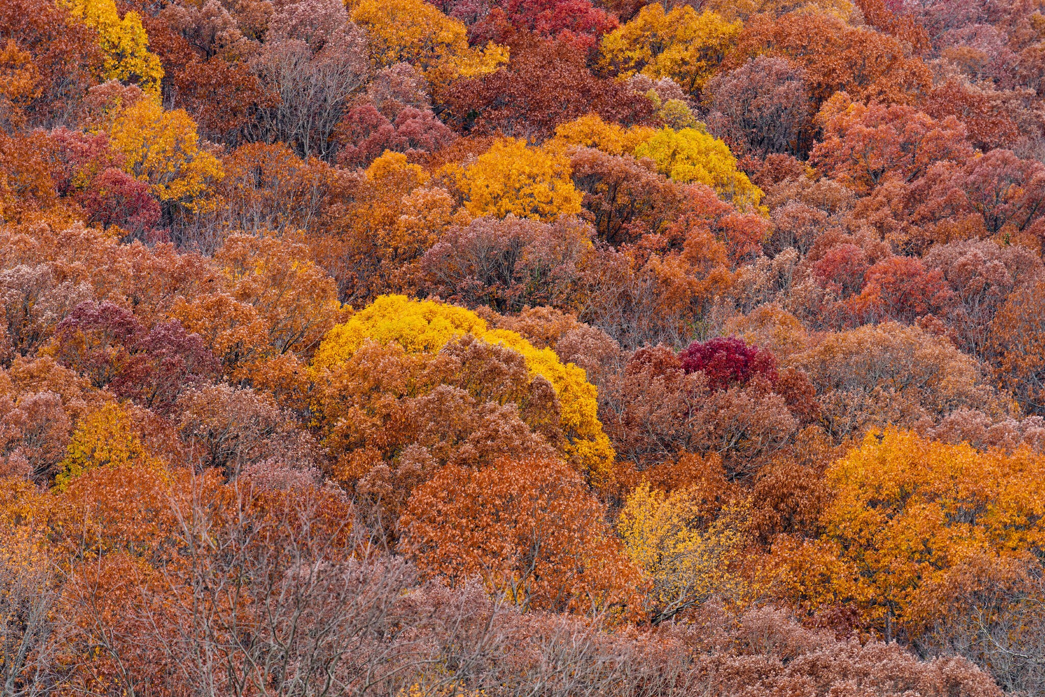_DSC3266-2.jpg