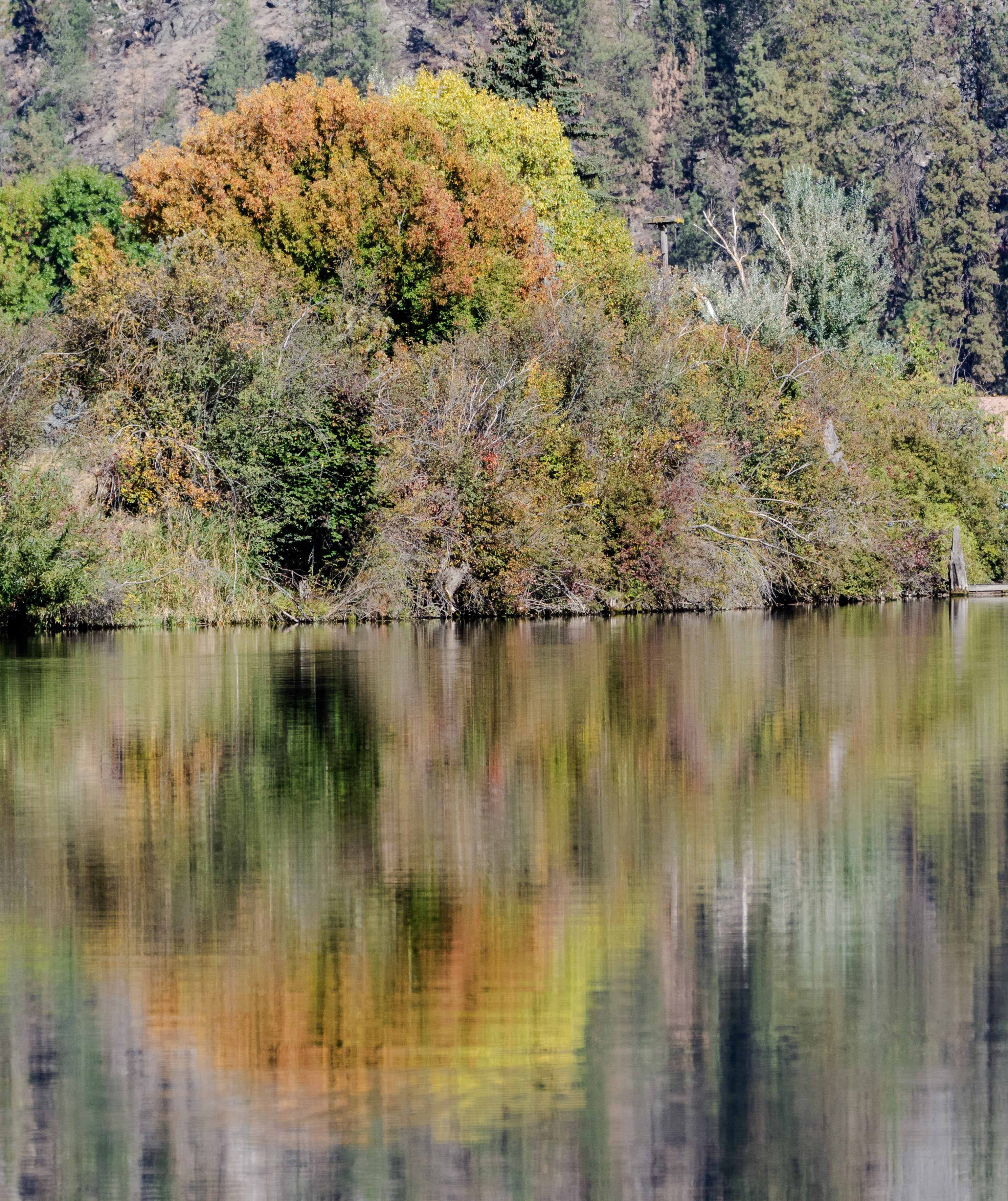 _DSC3364.jpg