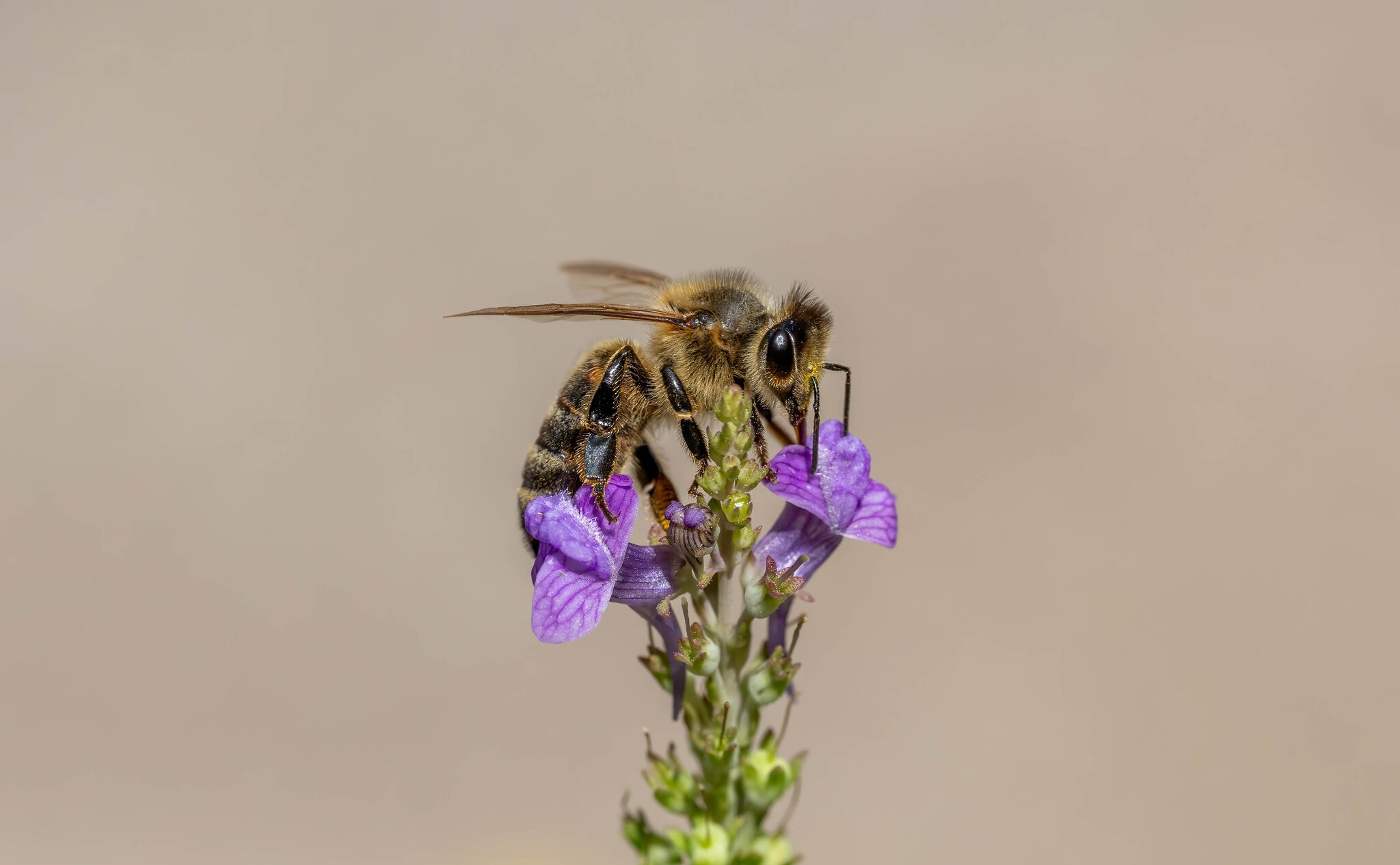 _DSC4566.jpg