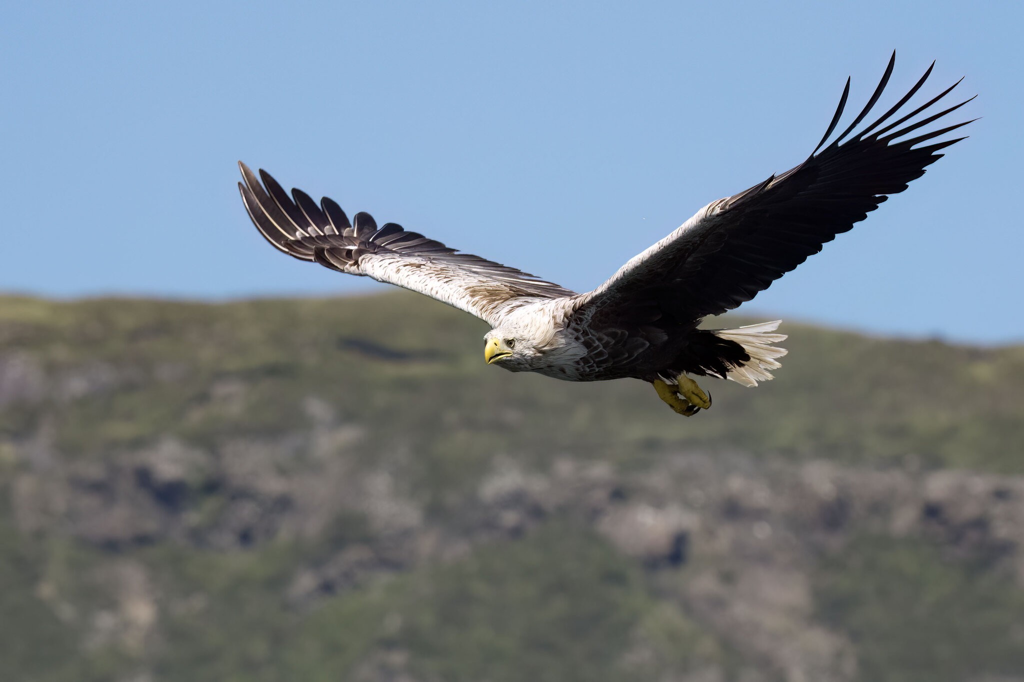 _DSC4734 -.jpg