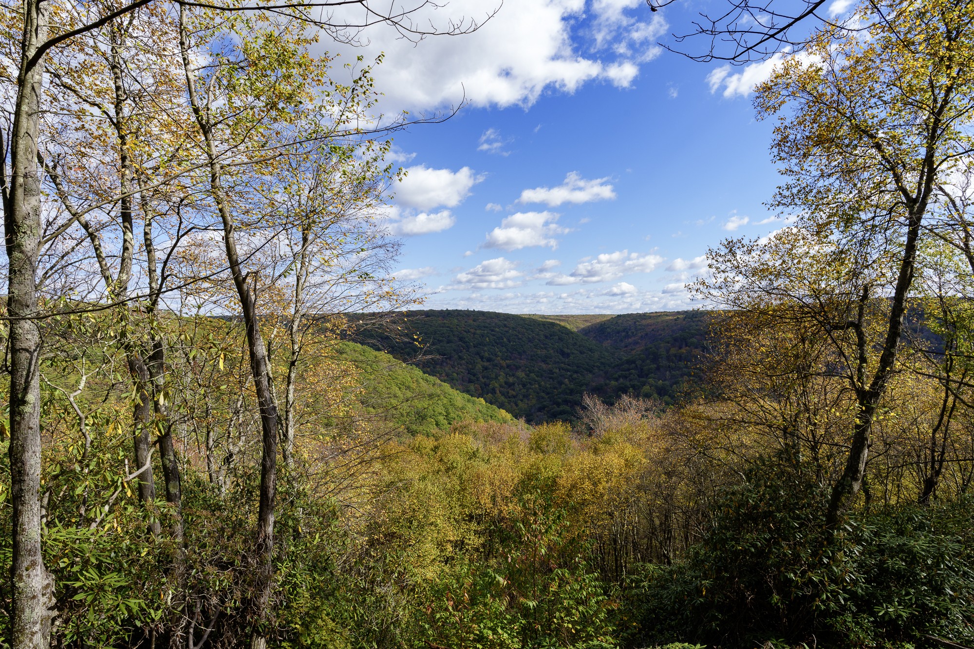_DSC6774.jpg