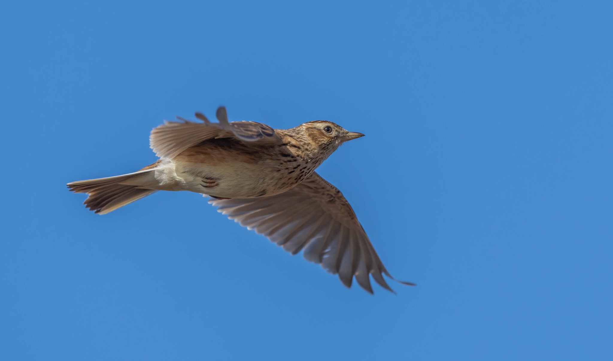 _DSC9551-Edit.jpg