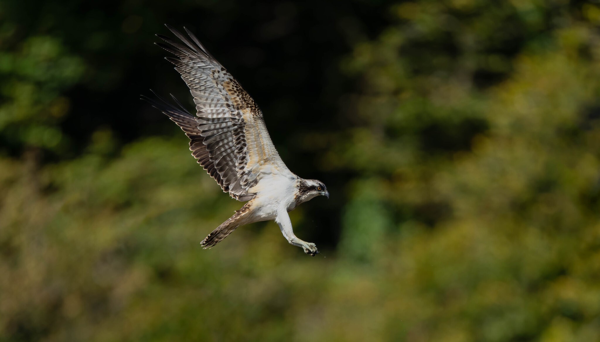 _DSC9741-Edit-Edit.jpg