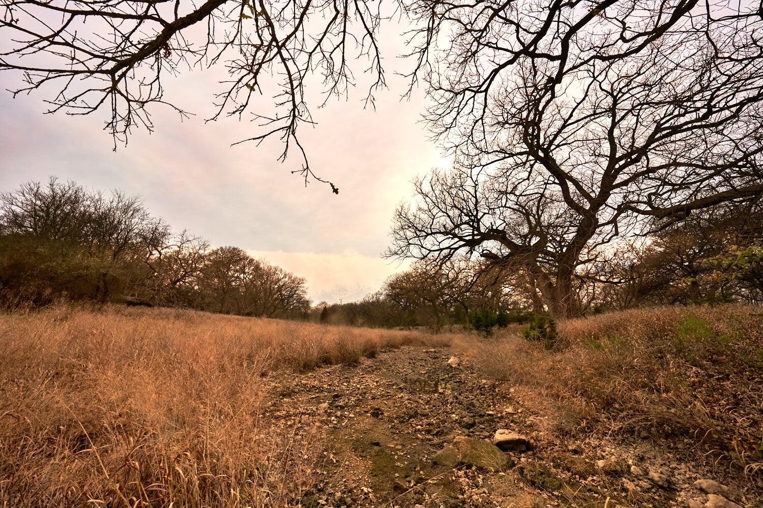 A dry river bed