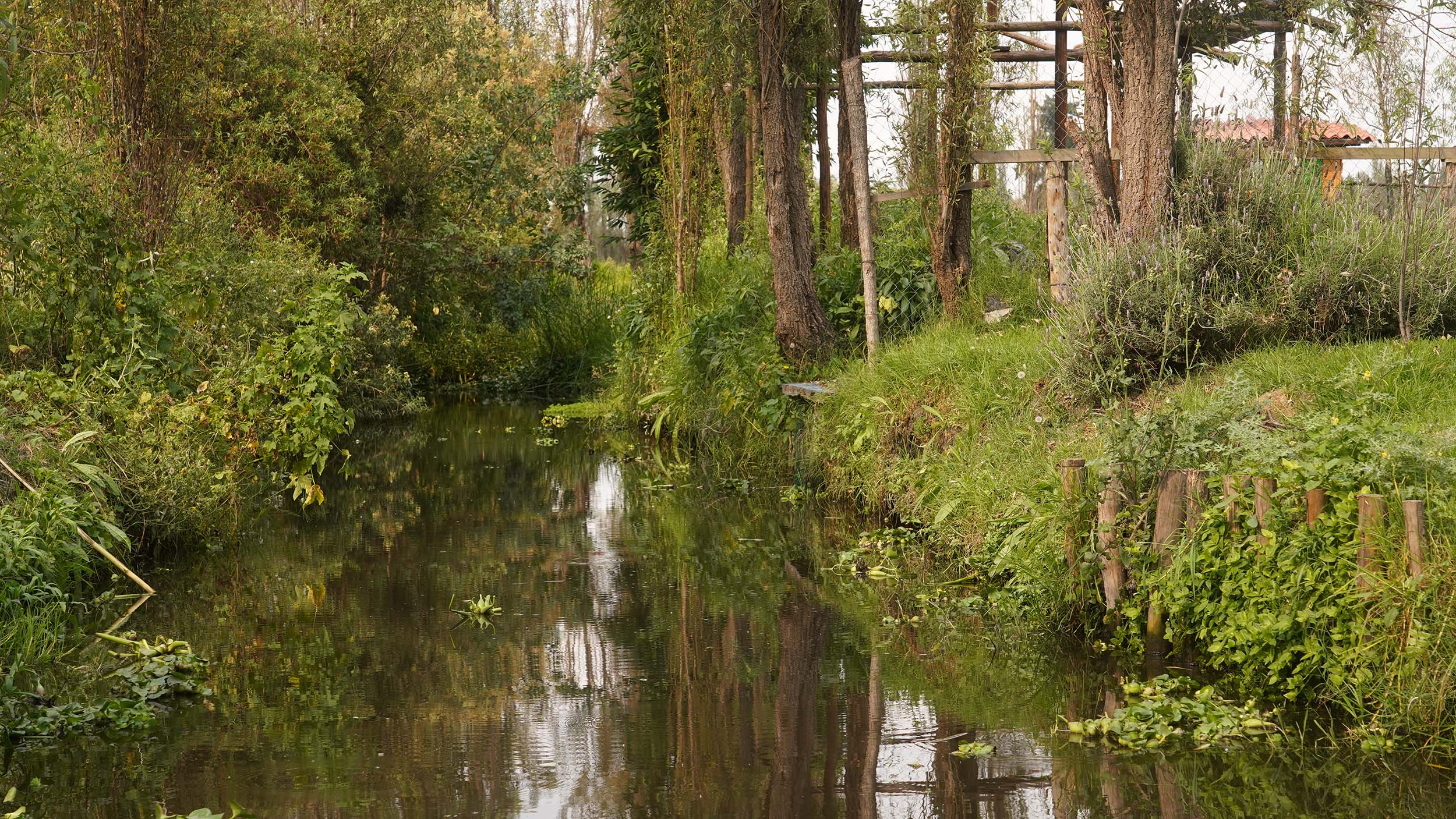 a side stream with buildings on Xochimilco
