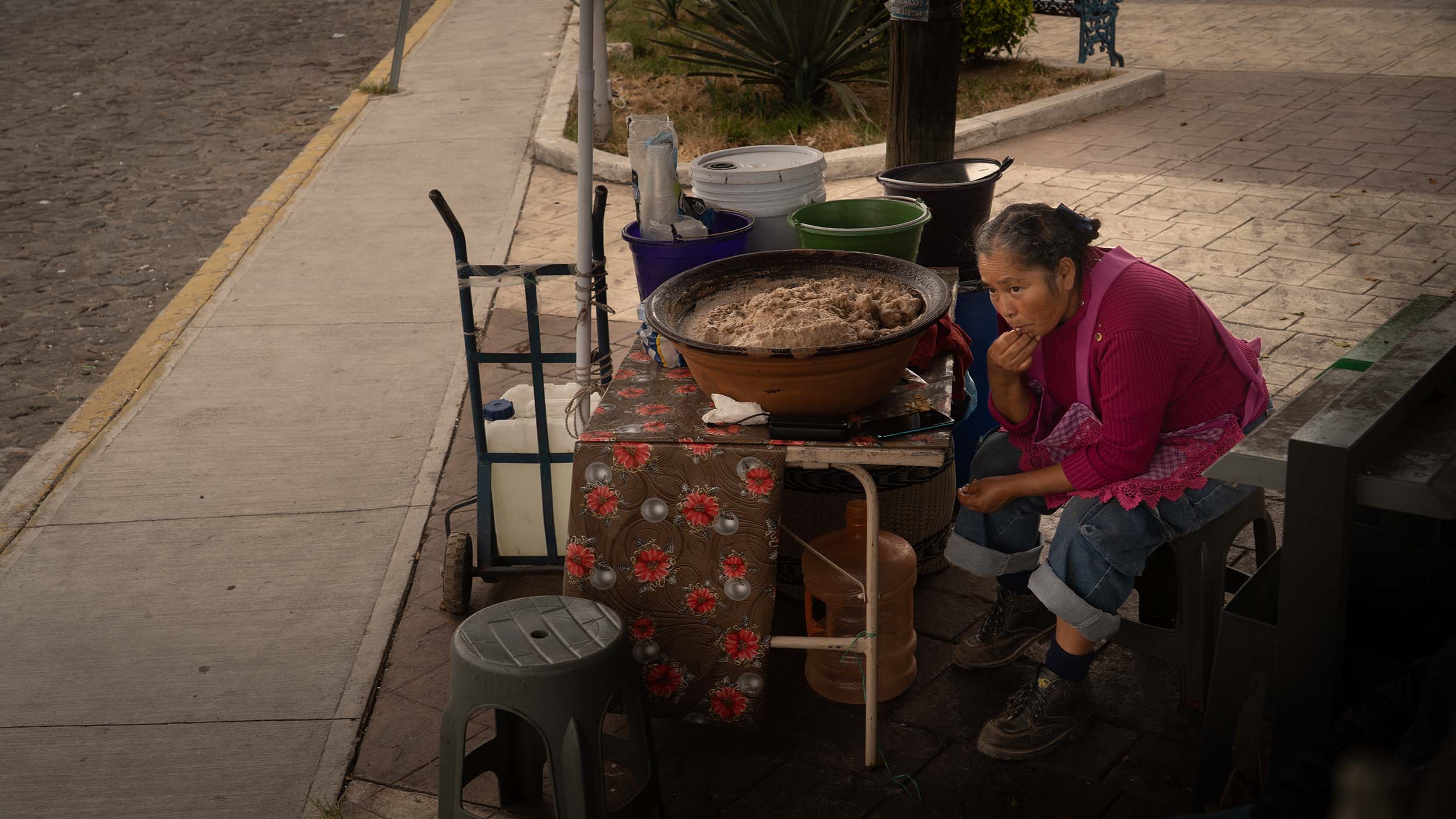 A woman street vender of a town outside of Puebla