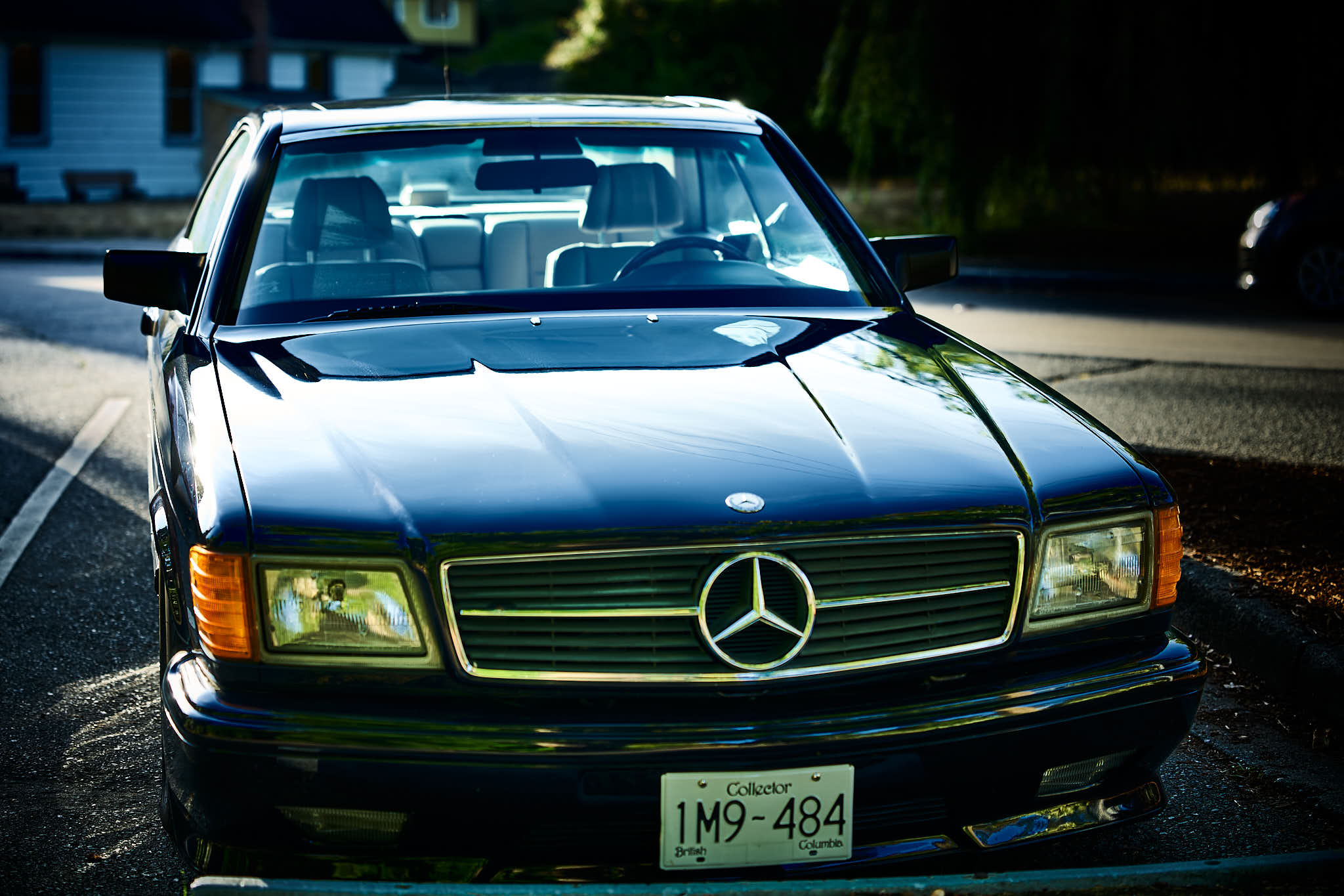 A1_03143.jpg