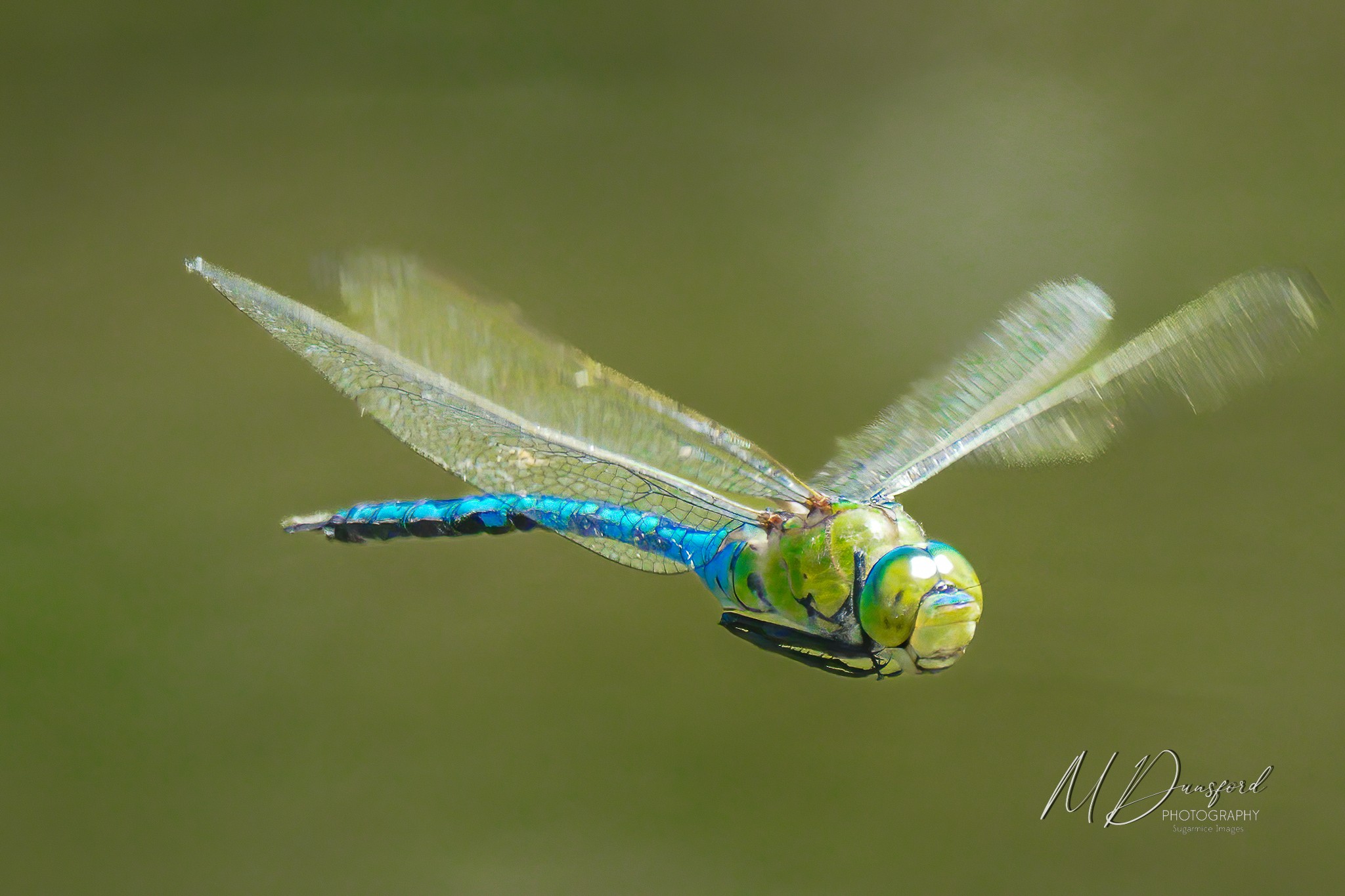 A1A06716-Edit fbWM.JPG
