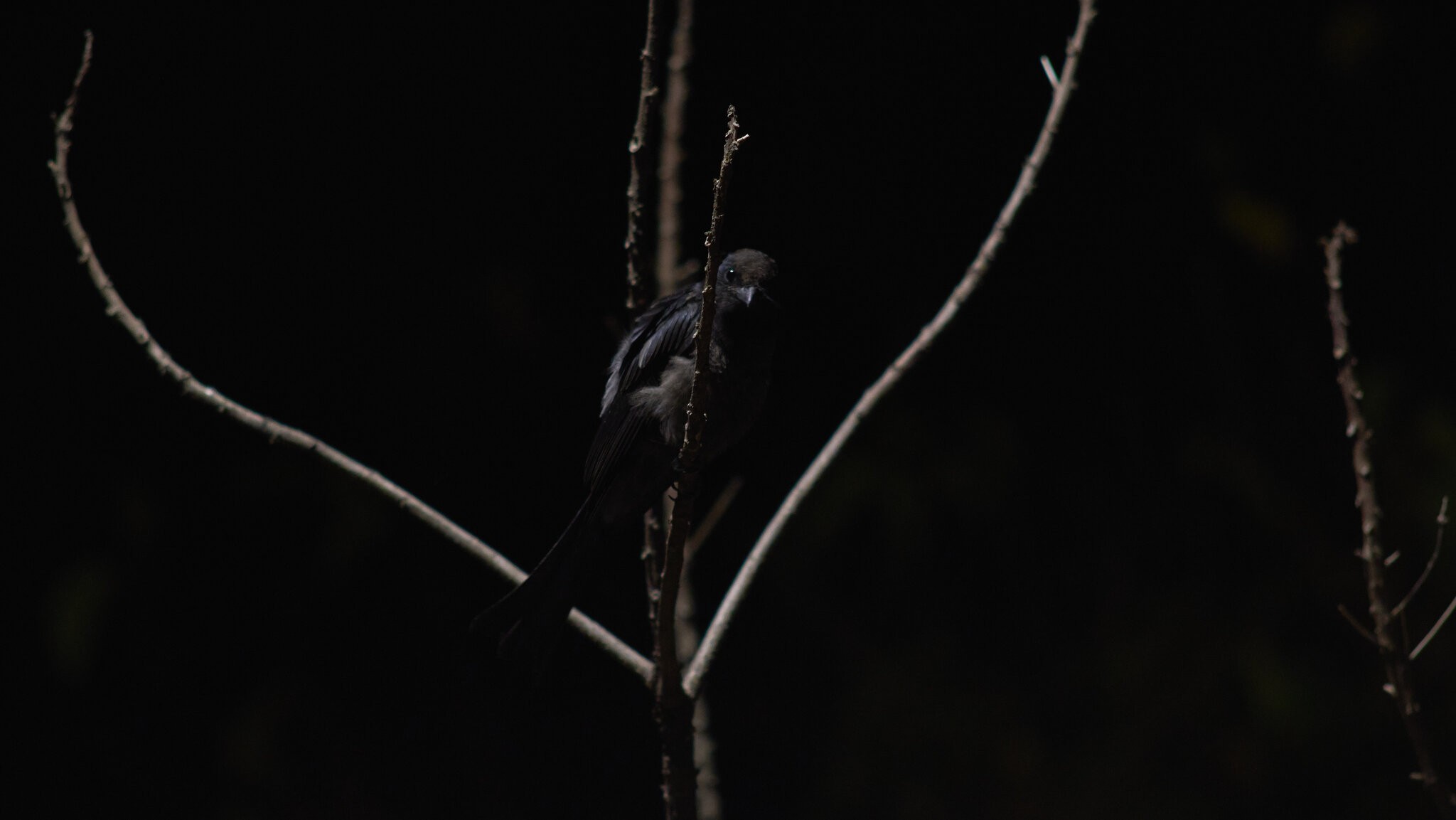 A7400400.jpg