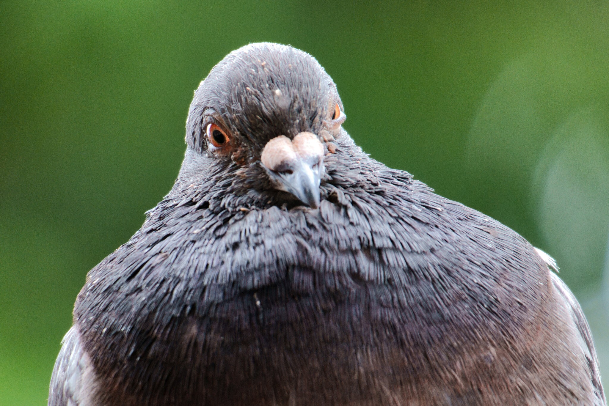 A7R00243.jpg